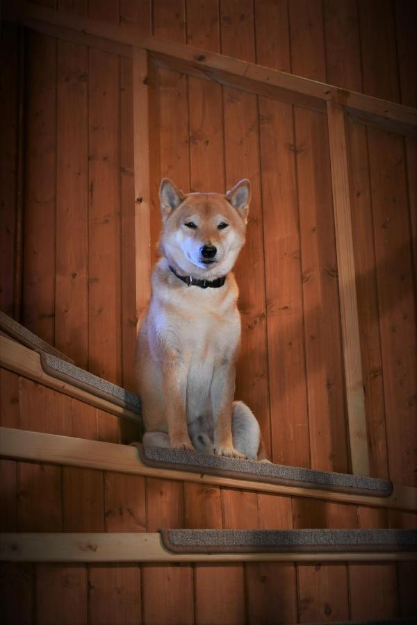 Chaloupka U Lisaka Villa Snezne  ภายนอก รูปภาพ